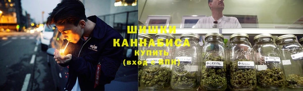 МДПВ Нефтегорск