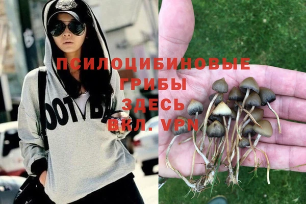 скорость Нея