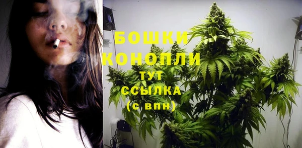 МДПВ Нефтегорск