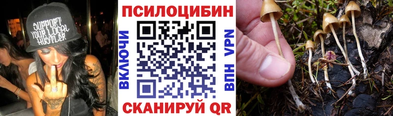 Галлюциногенные грибы прущие грибы  гидра   Мещовск 